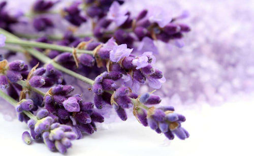 Nigeria detergent fragrance Supplier