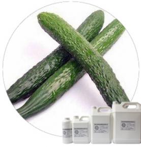 Cucumber Seasoning Powder