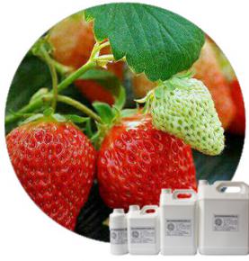 Strawberry Seasoning Powder