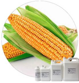 Corn Seasoning Powder