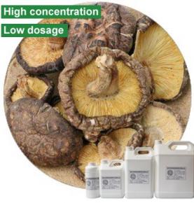 Mushroom Seasoning Powder