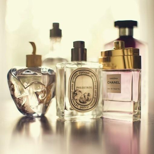 Parfum perfume essential wholesale 