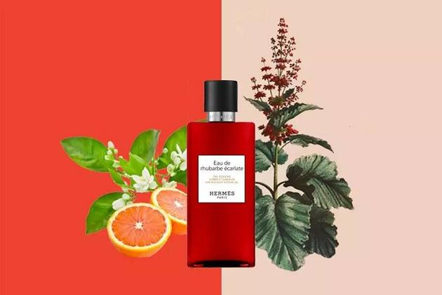 fragrance essential perfume