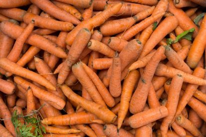 freshly-harvested-carrots-at-a-market.jpg